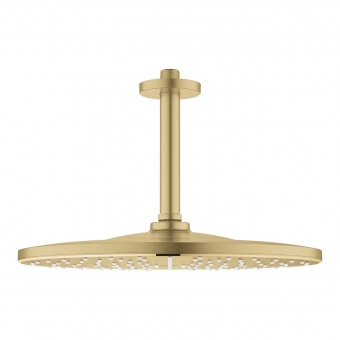 Dušo galva iš lubų Grohe Mono 310 1 srovės 142mm 9,5l/min matinė aukso spalva 